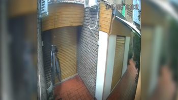 Los delincuentes entraron por una medianera, pese a que el predio tiene alambre de púas. Los delincuentes entraron por una medianera, pese a que el predio tiene alambre de púas.