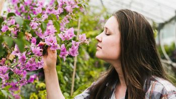 Esperando la primavera: estas 5 plantas no hay que podarlas en septiembre o generarás un daño irreparable Esperando la primavera: estas 5 plantas no hay que podarlas en septiembre o generarás un daño irreparable
