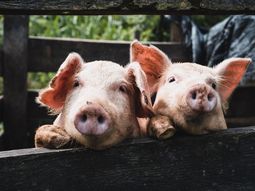 Empresarios locales denuncian medidas discriminatorias. Empresarios locales denuncian medidas discriminatorias.