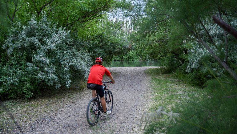 Qué dice el pronóstico para este domingo: ¿Calmará el viento?