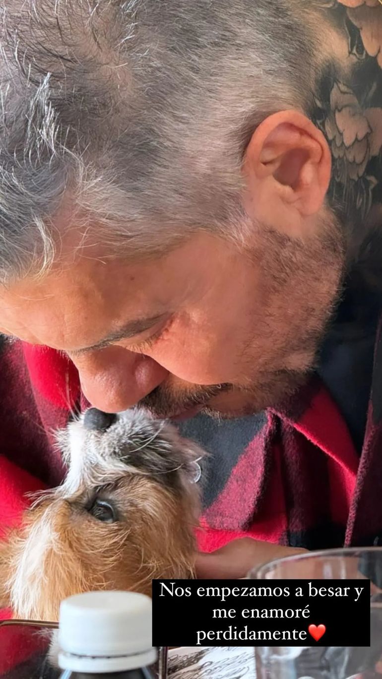 Marcelo Tinelli se mostró enamorado de Carlitos, su nueva mascota. Marcelo Tinelli se mostró enamorado de Carlitos, su nueva mascota.