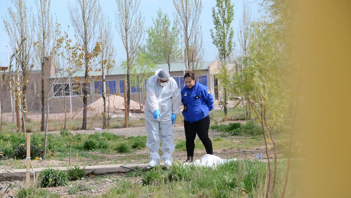 Femicidio en Centenario: hay dos hombres demorados