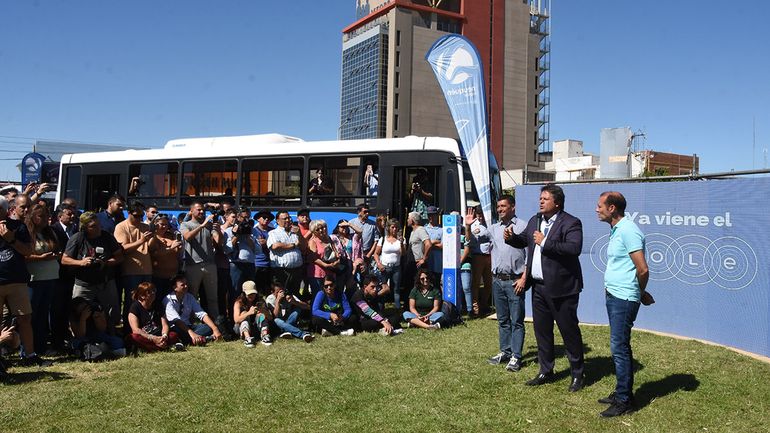 ¿Cuándo arranca y cómo funcionará Cole, el nuevo sistema de transporte público?