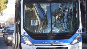 paro de colectivos en el pais: ¿que pasa en neuquen? paro de colectivos en el pais: ¿que pasa en neuquen?