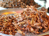 Los insectos están incluidos en la definición de  alimentación del fututo.