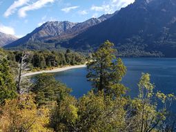 rio negro se acerca a francia por los bosques nativos rio negro se acerca a francia por los bosques nativos