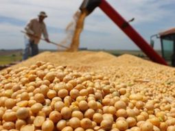 anunciaron nueva baja en las retenciones al campo: cuanto tributaran desde ahora anunciaron nueva baja en las retenciones al campo: cuanto tributaran desde ahora