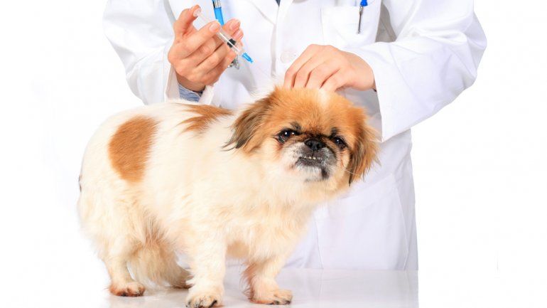 Es una enfermedad que se puede prevenir