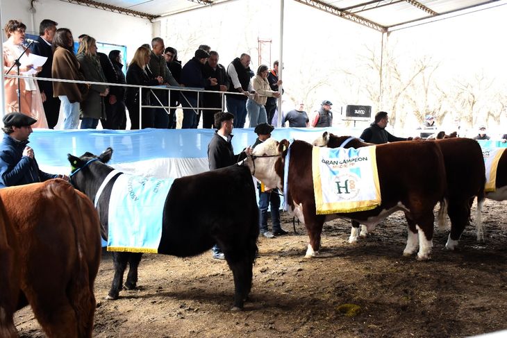 Los campeones mostraron una buena performance a la hora de los remates. Los campeones mostraron una buena performance a la hora de los remates.