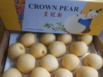 acuerdos fitosanitarios y comercio: las peras de china