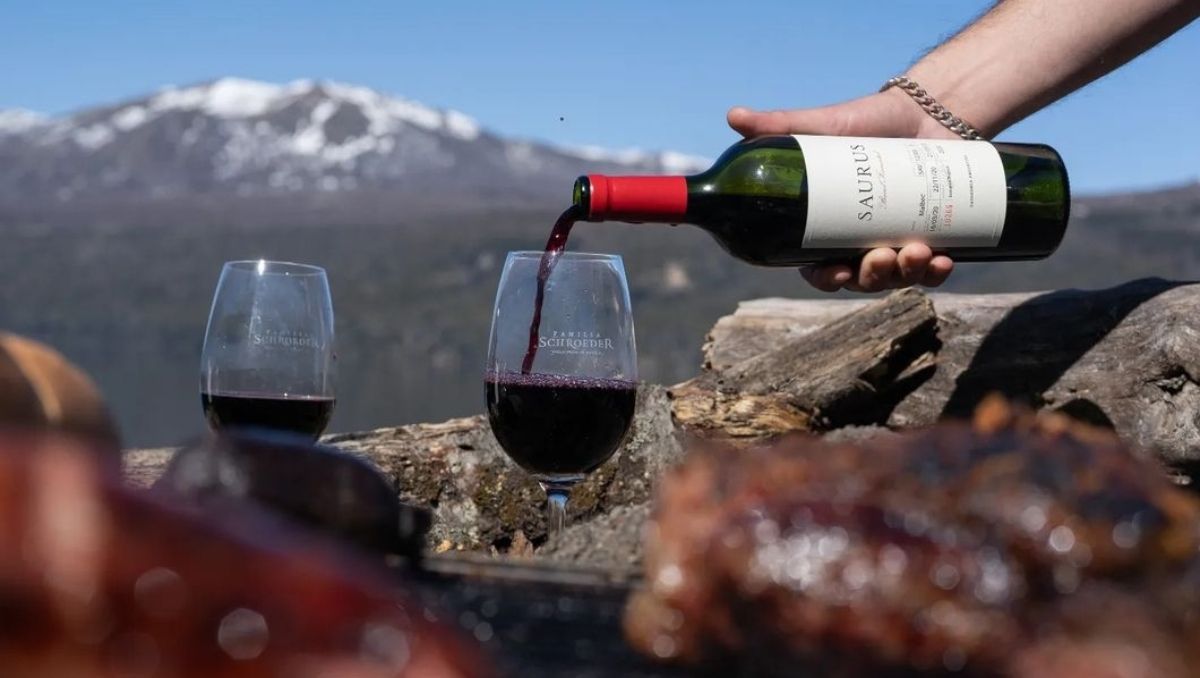 Neuquén convoca al encuentro y a conocer la belleza provincial saboreando buenos vinos.