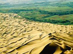 Expansión forestal en China aumenta área verde en 226 mil km², pero reduce disponibilidad de agua en -0.46 mm/año nacionalmente. Expansión forestal en China aumenta área verde en 226 mil km², pero reduce disponibilidad de agua en -0.46 mm/año nacionalmente.
