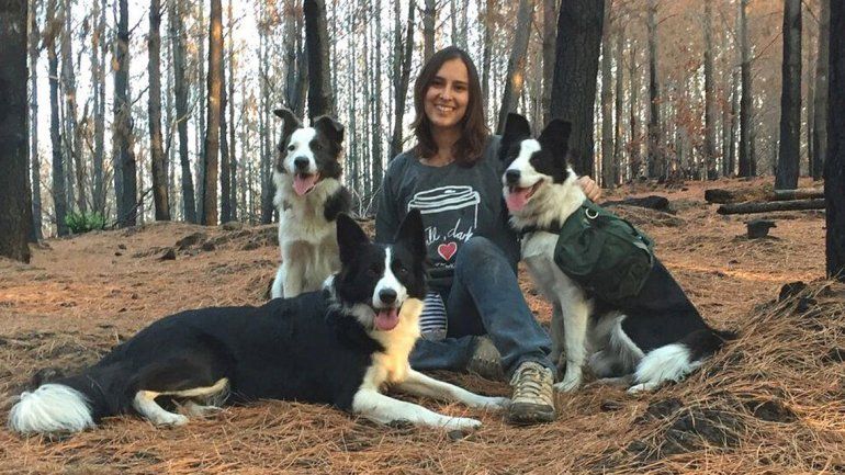 Tres perras están reforestando los bosques arrasados por los incendios