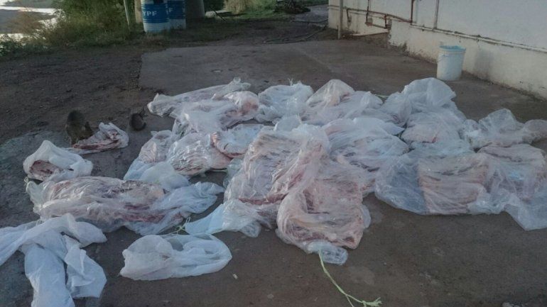 Decomisaron 300 kilos de costillares que traían a Neuquén