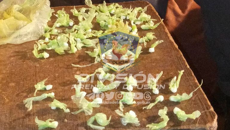 Desbaratan un kiosco narco y se encuentran con un animal en extinción