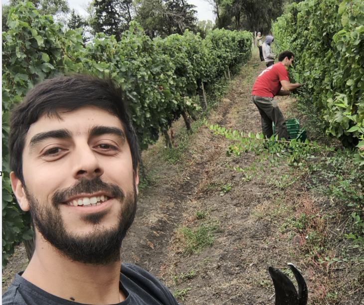 Vendimia 2026: la bodega proyecta alcanzar una producción de dos mil litros de vino artesanal. Vendimia 2026: la bodega proyecta alcanzar una producción de dos mil litros de vino artesanal.
