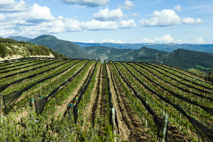 Antes, usual y ahora, aberrante: bodega y un cementerio, construidos en el mismo lugar. Antes, usual y ahora, aberrante: bodega y un cementerio, construidos en el mismo lugar.