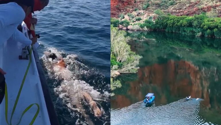 El desarrollo de la prueba estuvo condicionado por factores climáticos y geográficos en Australia. El desarrollo de la prueba estuvo condicionado por factores climáticos y geográficos en Australia.