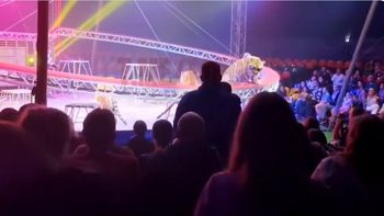 El hecho tuvo lugar en el circo de la dinastía Dovgaluk, en Rusia. El hecho tuvo lugar en el circo de la dinastía Dovgaluk, en Rusia.