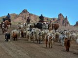 Se espera una primavera seca en los campos neuquinos.
