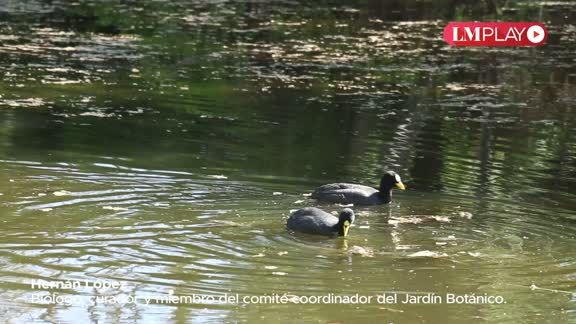 Jardín Botánico de Plottier: un lugar para no perderse