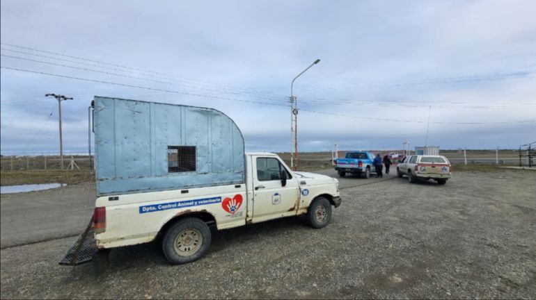 Durante las primeras tareas del operativo para atrapar al puma, el autódromo de Río Gallegos permaneció cerrado. Durante las primeras tareas del operativo para atrapar al puma, el autódromo de Río Gallegos permaneció cerrado. 