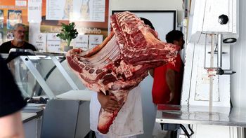 En 2025 SENASA permitió el ingreso de carne con hueso a la Patagonia, poniendo fin a años de barrera sanitaria. En 2025 SENASA permitió el ingreso de carne con hueso a la Patagonia, poniendo fin a años de barrera sanitaria.