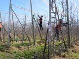 El material forma parte del ciclo audiovisual Manos a la Fruta.