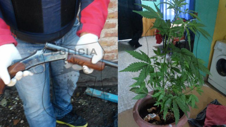 Secuestran armas y plantas de marihuana en Valentina Sur