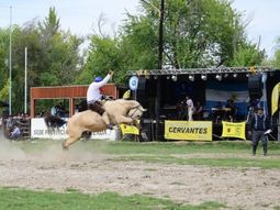 Cervantes será una vez más de la final del campeonato de Jineteadas de Río Negro. Cervantes será una vez más de la final del campeonato de Jineteadas de Río Negro.
