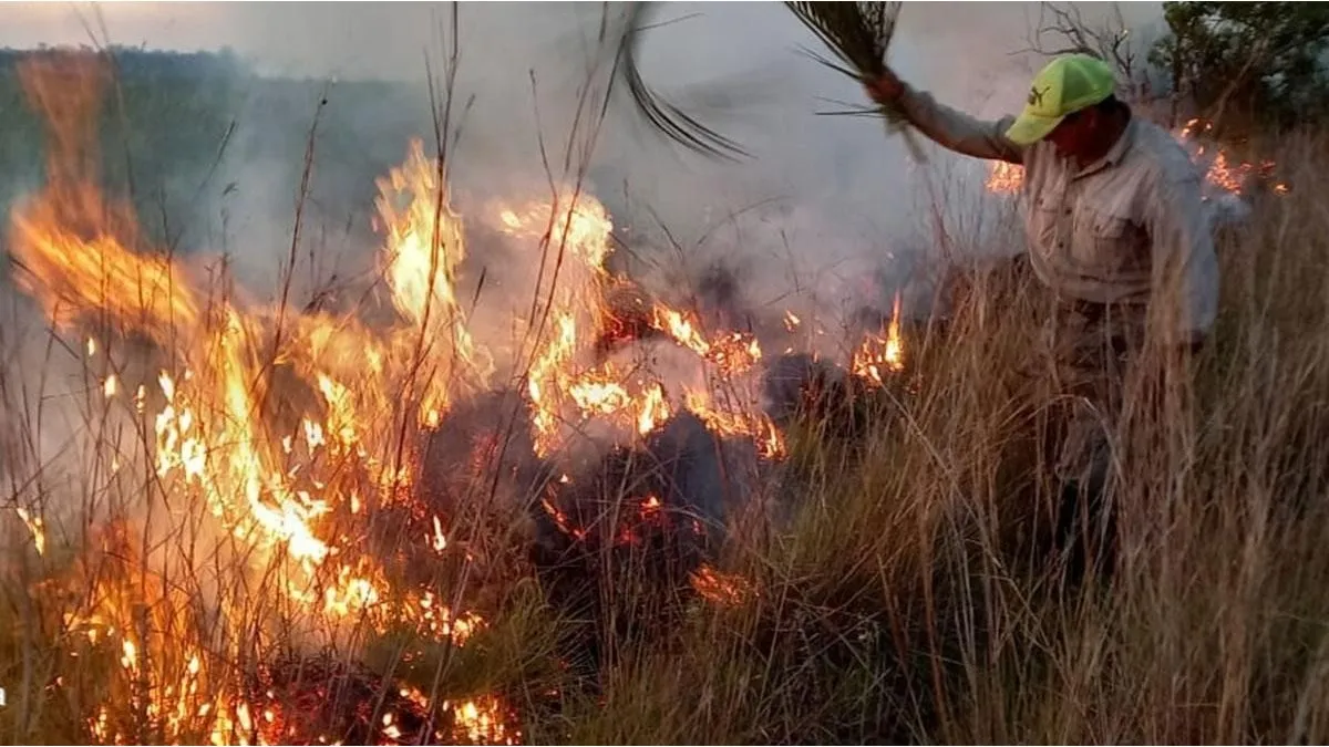 Maestra rural murió mientras combatía un incendio forestal 