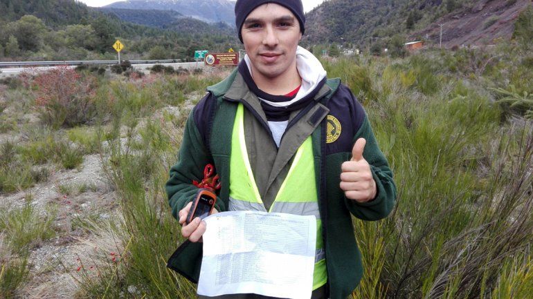 Preocupa el avance de tres especies de pino invasoras