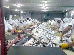 Río Salado en su mejor memoento, hace ya tiempo atrás; trabajando a tiempo completo. Río Salado en su mejor memoento, hace ya tiempo atrás; trabajando a tiempo completo.