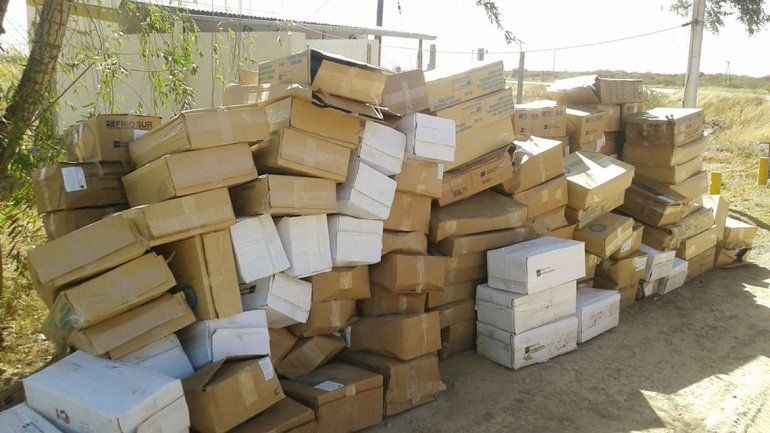 Decomisaron dos toneladas y media de pescado que venía para Neuquén