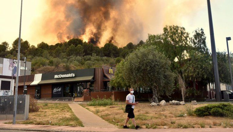 Cataluña: incendio arrasa una reserva