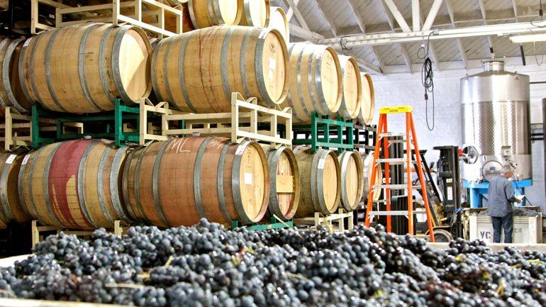 Una duda: ¿cómo se hace el vino?