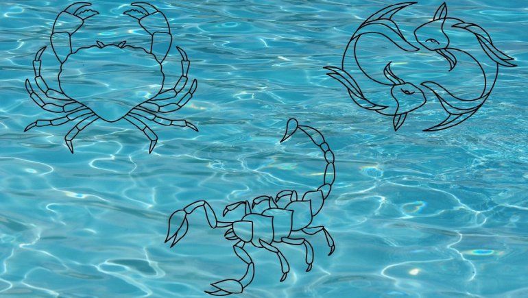 Zodíaco: los encantos de los signos de agua