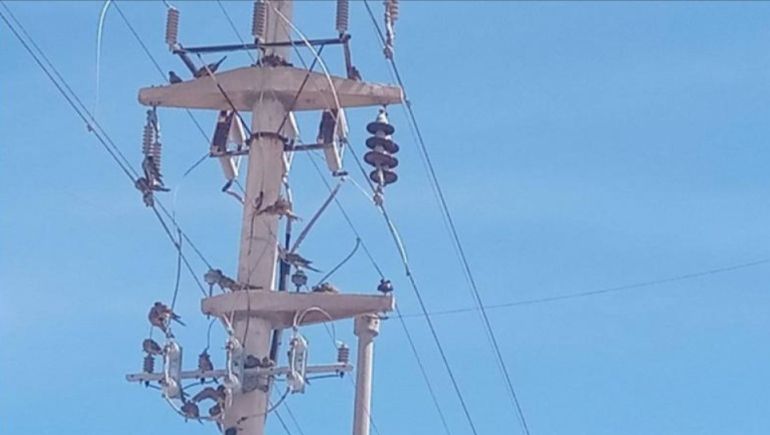 La cooperativa detectó el cortocircuito en una columna de transporte de la línea que abastece con electricidad a 25 de Mayo