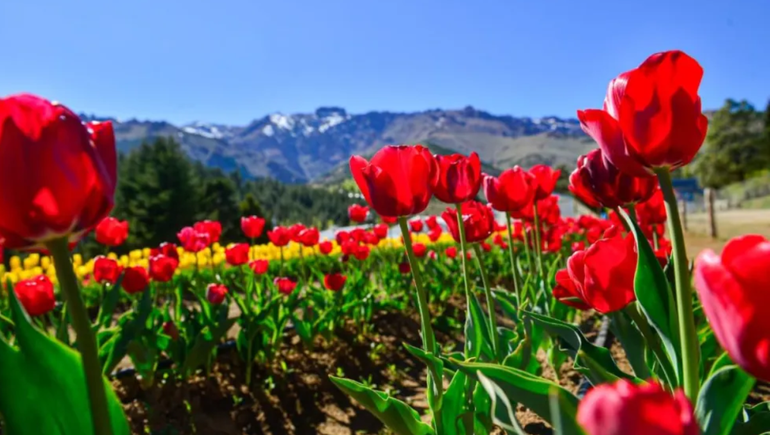 Neuquén suma un nuevo atractivo turístico para conocer: dónde queda