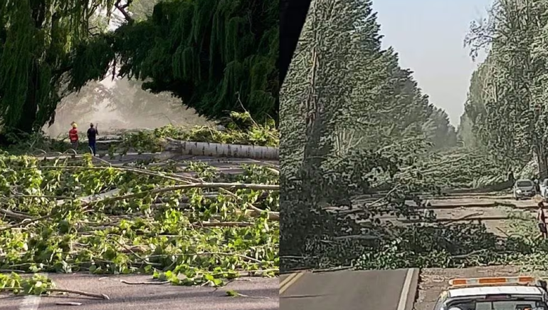 Viento zonda en Ruta 40: los numerosos daños que dejó el temporal