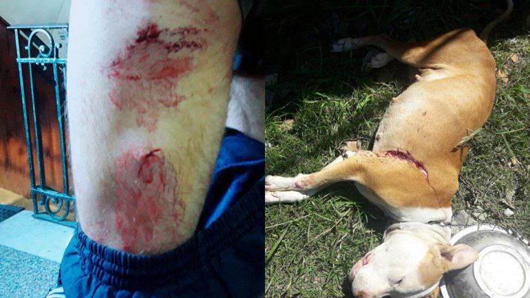 Ocurrió en una casa de Los Hornos