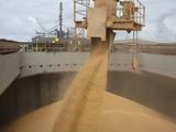 La guerra en Medio Oriente ha desestabilizado un punto neurálgico para el agro global.&nbsp;