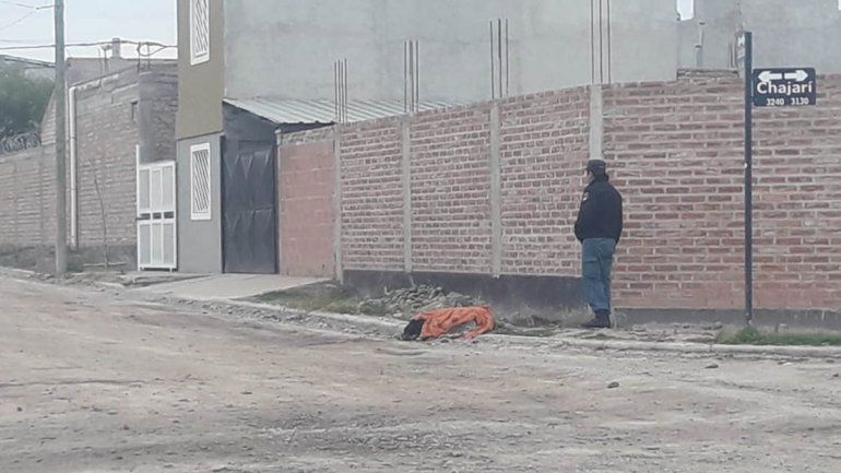 Preocupación en Huiliches por el hallazgo de siete perros envenenados