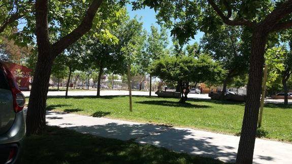 Adolescentes a los tiros en una plaza de Centenario