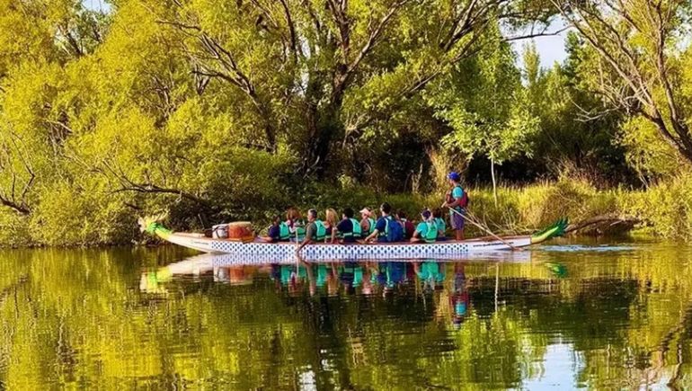 Plantarán sauces criollos en la reserva Rincón Limay, en Plottier