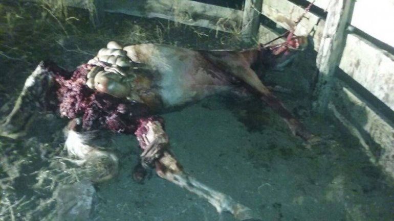 Dos personas fueron detenidas por este violento hecho.&nbsp;