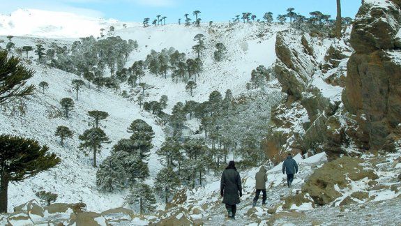 Los paisajes invernales más fabulosos de la región