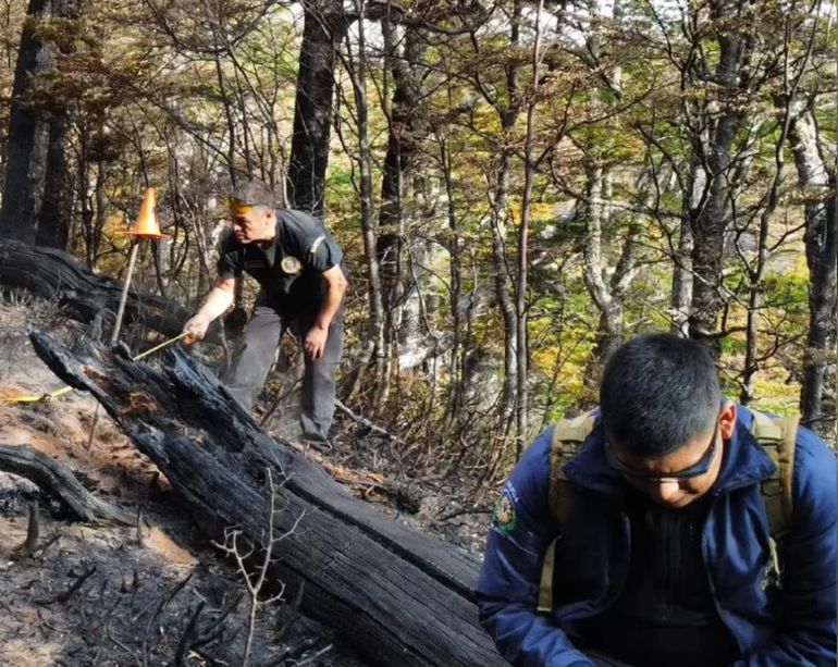 Durante los procedimientos del jueves secuestraron armas y varios propagadores de fuego, y se hizo una inspección en el sector de la estancia en el que se inició el foco ígneo. Durante los procedimientos del jueves secuestraron armas y varios propagadores de fuego, y se hizo una inspección en el sector de la estancia en el que se inició el foco ígneo. 
