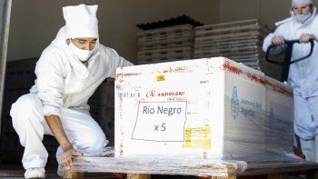 Las distribuirán a los 6 hospitales que recibieron la primera dosis. Las distribuirán a los 6 hospitales que recibieron la primera dosis.