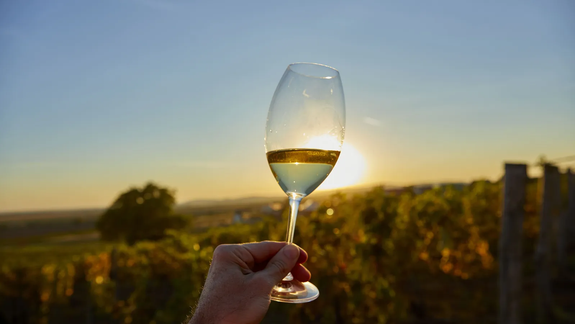 El IWSC revela un mapa mundial del vino más diverso que nunca.